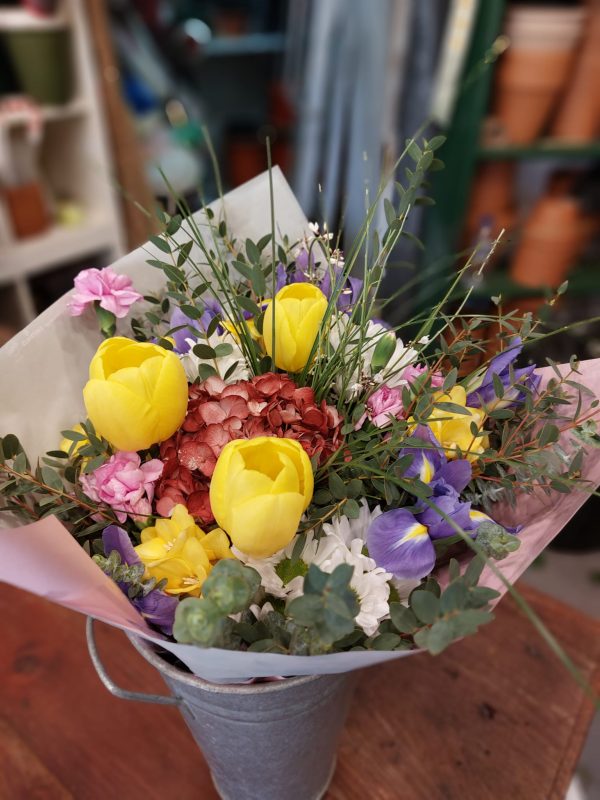 Ram variat Primavera - Image 2