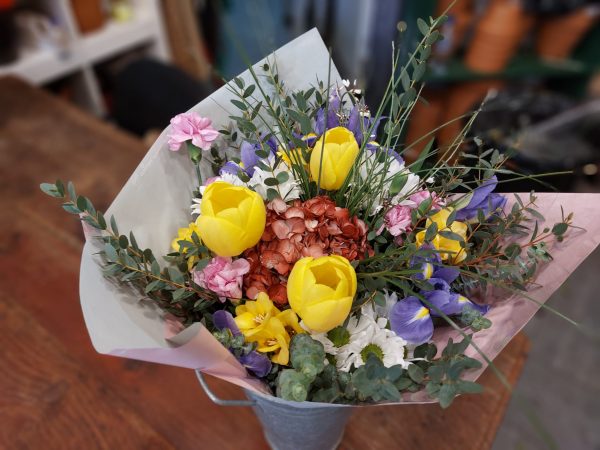Ram variat Primavera - Image 3